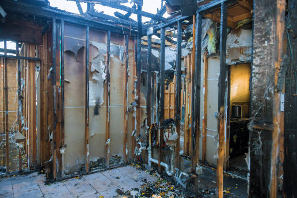 Professional Soot Cleanup technician working in Carver, MN